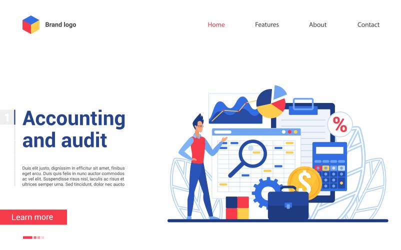 business accounting and financial audit vector image