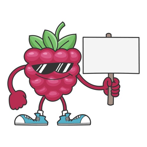 raspberry with sunglasses cartoon character vector image