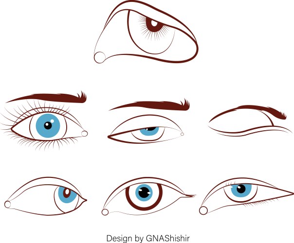 Eyes Royalty Free Vector Image Vectorstock