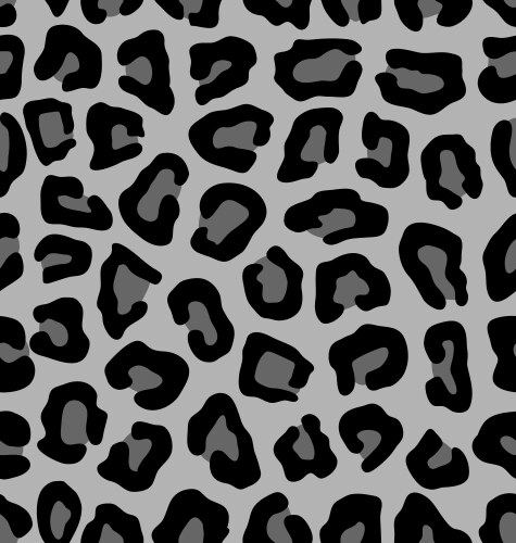 Leopard pattern vector image