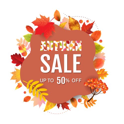 Autumn sale poster with colorful leaves vector image