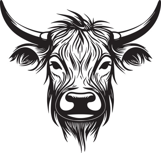 Highland Cow - Black & White Vector Image