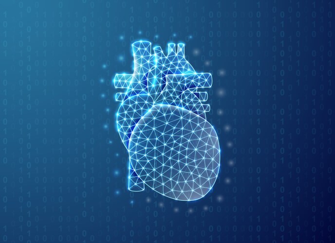 Heart polygonal symbol with binary code background vektorbild