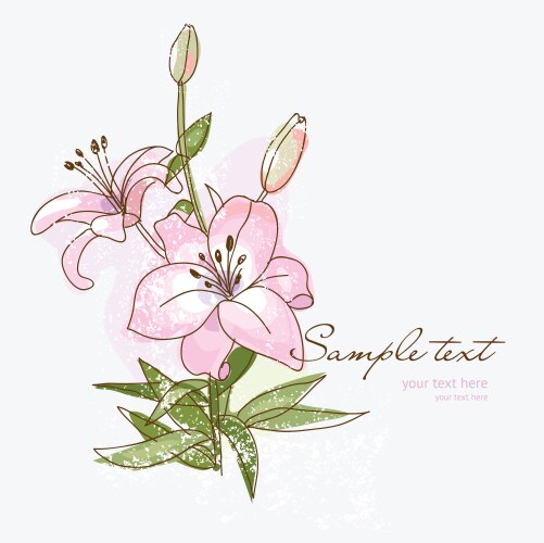 Lily beige garden forest herb wilflowers branches Vector Image