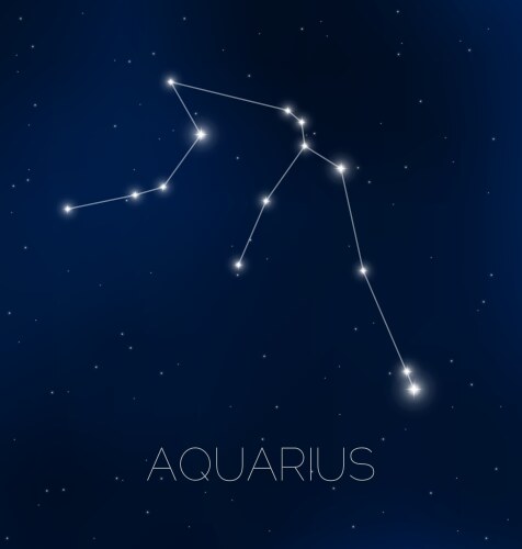 aquarius constellation in night sky vector