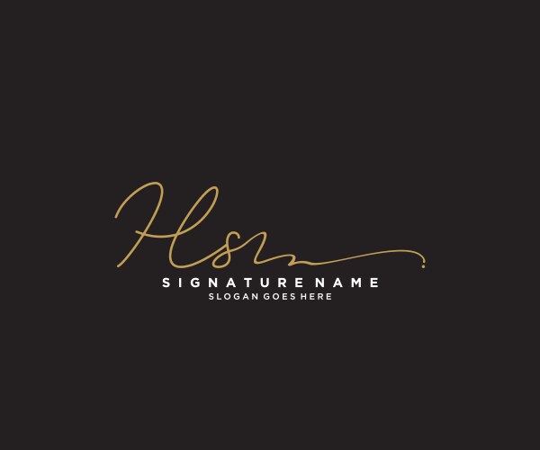 Letter hs signature logo template Vector Image