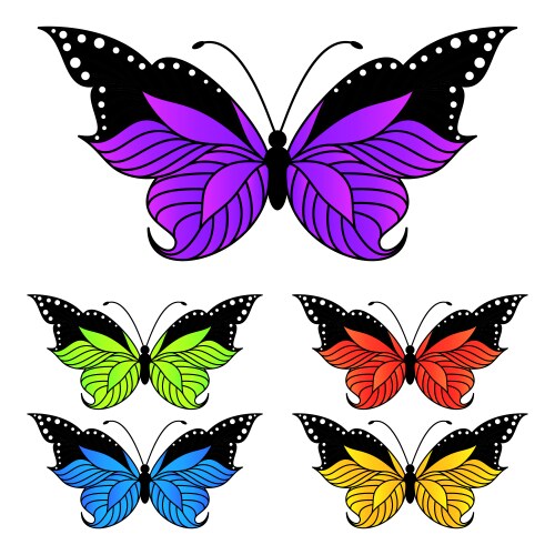 Vibrant Butterfly Collection Vector Image