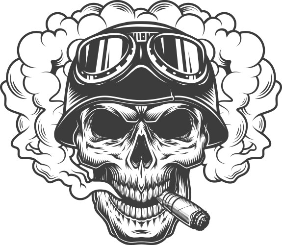 Skull in Smoke Vector Image