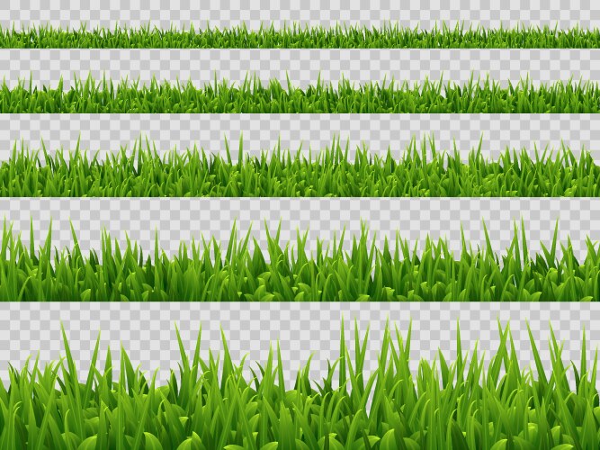 Green grass border Royalty Free Vector Image - VectorStock