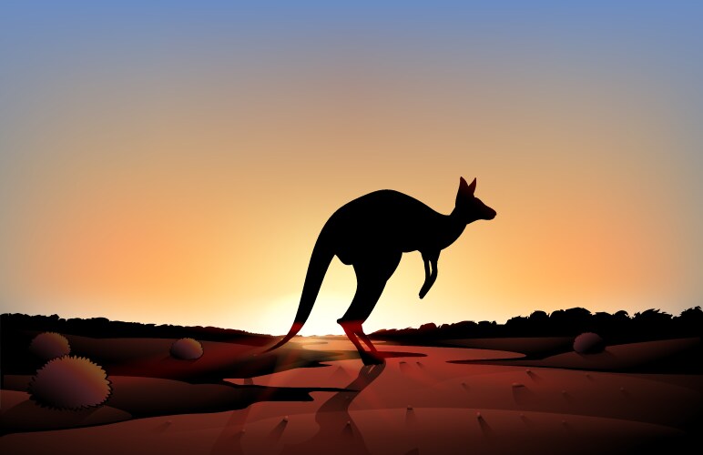 a sunset with kangaroo vector image