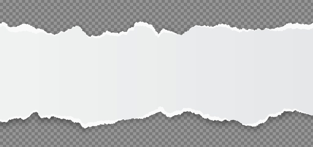 strip torn out of white realistic vector image