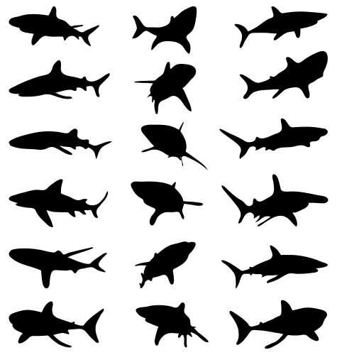Shark Silhouettes Vector Image