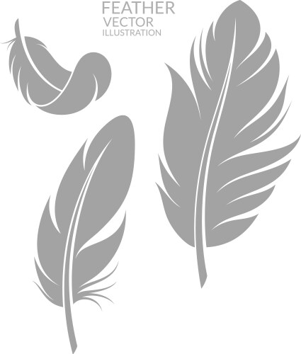 Feather set Royalty Free Vector Image - VectorStock