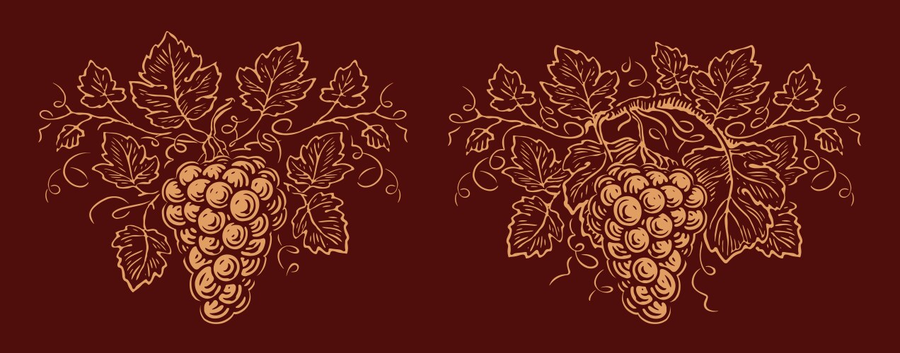 grapes and leaves bunch grapevine ornament wine vector