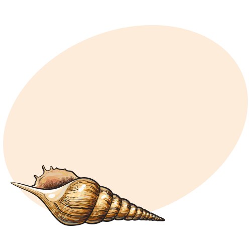 Spiral Conch Seashell Sketch Vector Image