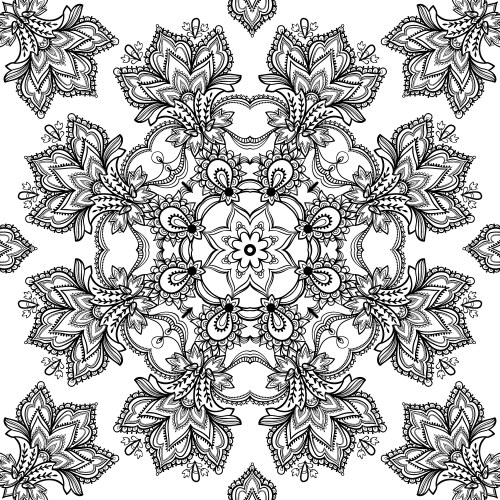 lace design vector image