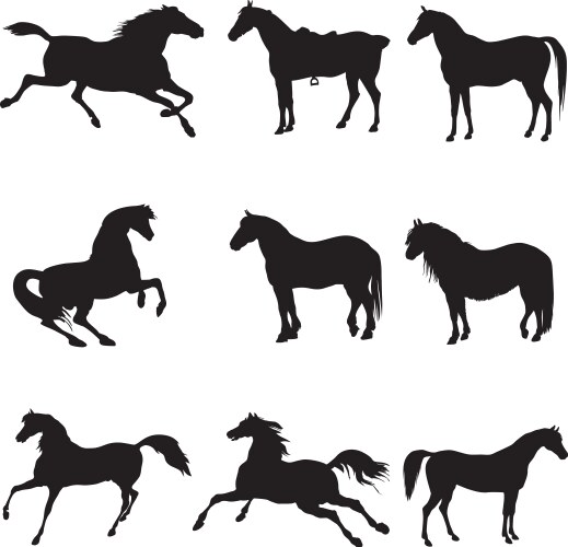 Nine Horse Silhouettes - Galloping & Standing Vector Image