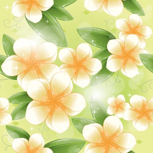 Frangipani flower Royalty Free Vector Image - VectorStock
