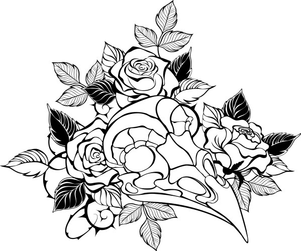 Gothic Bird Skull with Roses Vector Image