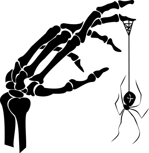 Creepy Halloween Skeleton Hand with Spider Vector Image