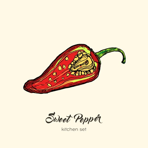 Red pepper isolate hand drawn Royalty Free Vector Image