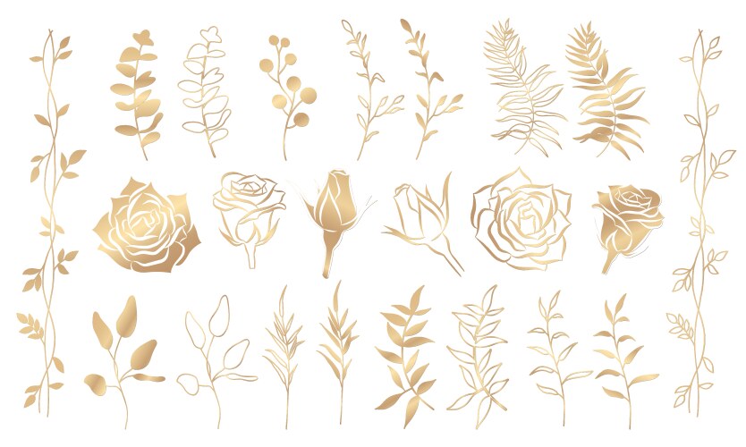 Gold floral set vector image