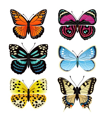 Colorful Butterfly Collection Vector Image