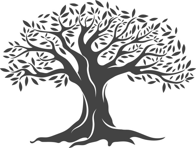 Olive Branch Tree Royalty Free Vector Image - VectorStock