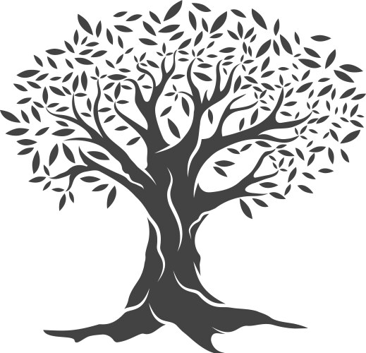 Hand drawn olive tree i Royalty Free Vector Image