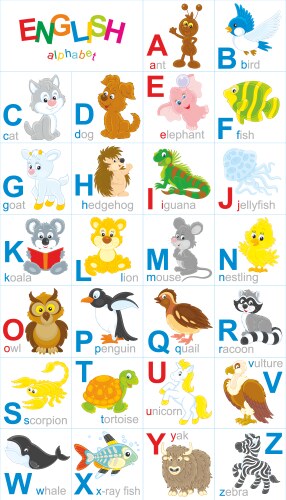 English alphabet vector image