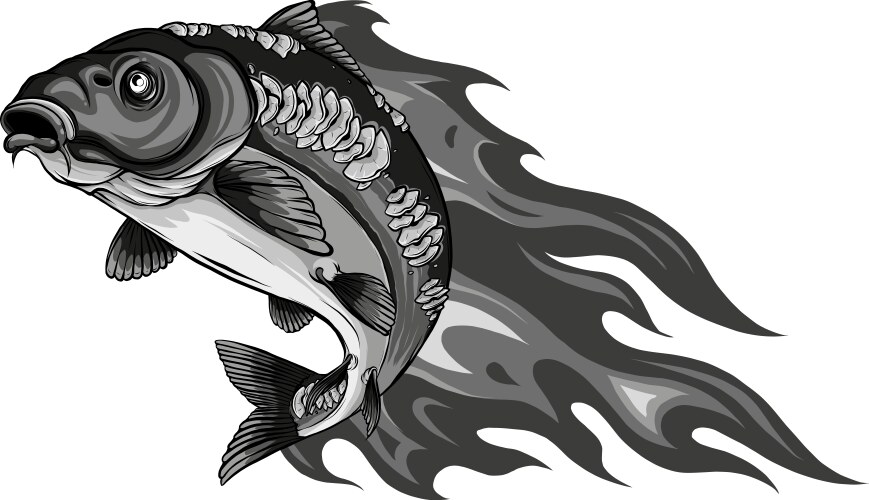 Carp Vector Images (over 11,000)