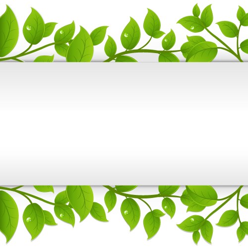 Border template with green leaves in background Vector Image