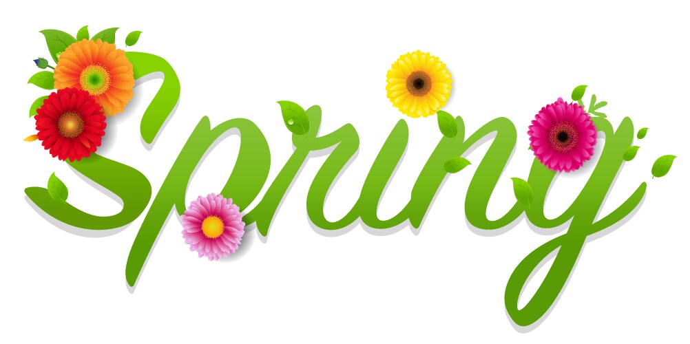 Spring text with gerber isolated white background vector image