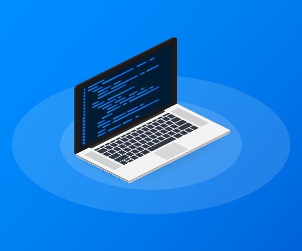 Isometric laptop coding concept web developer vektorbild