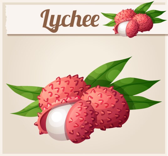 Cartoon groovy lychee fruit character exuding fun Vector Image