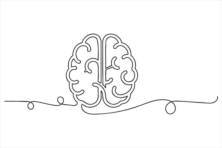 Continuous Line Brain Drawing Vector Image