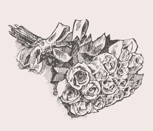 Bouquet of roses with ribbon hand drawn sketch Vector Image
