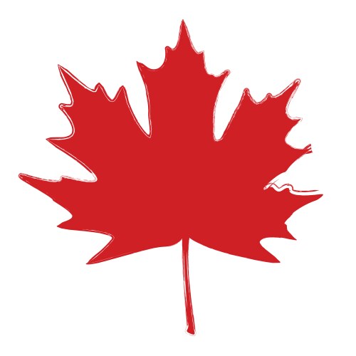 Realistic red maple leaf Royalty Free Vector Image