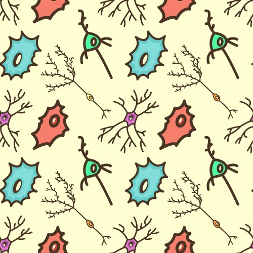 Biological Pattern Examples Scientific designing of meiosis phases germ cell Vector Image