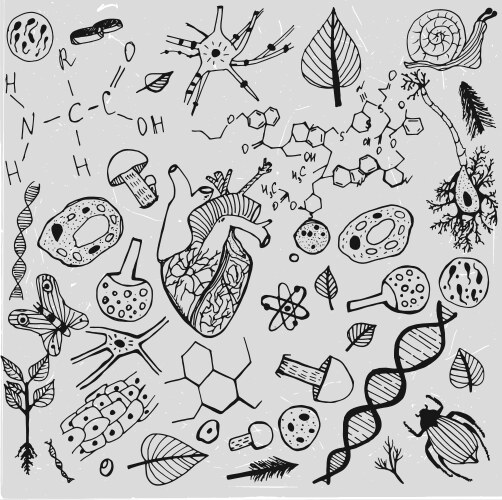 Biology background Royalty Free Vector Image - VectorStock