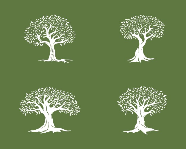 Olive tree vector image