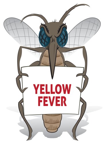 mosquito stilt holding poster yellow fever vector image