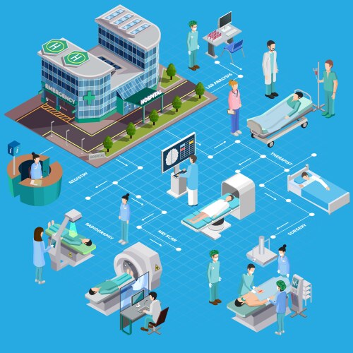 hospital health screening flowchart vector