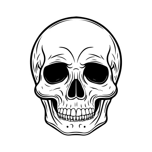 Vintage style skull Vector Image