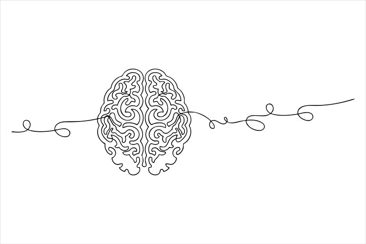 Detailed Human Brain Line Art Vector Image