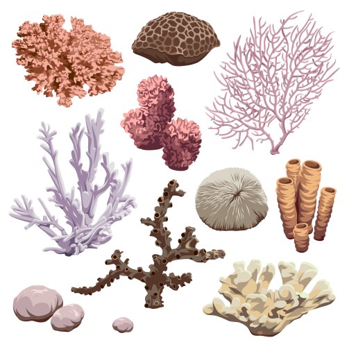 Reef icons set corals and sponges Vector Image