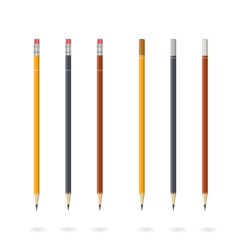 set of pencils various colors isolated on white vector