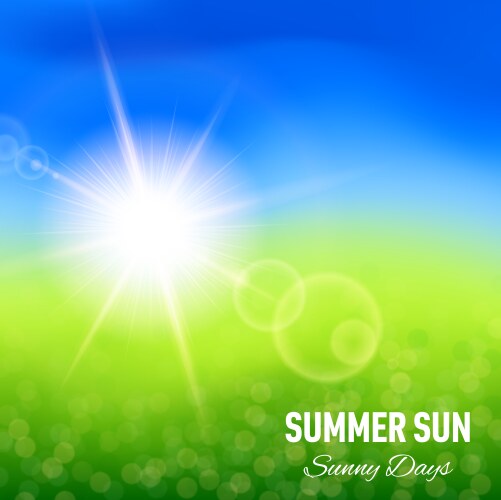 Summer sun background Royalty Free Vector Image
