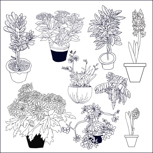 Botanical Plant Collection Vector Image