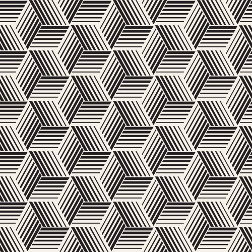 Seamless pattern with lines lattice vector image